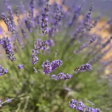 Maison Baltique بيت للعطل